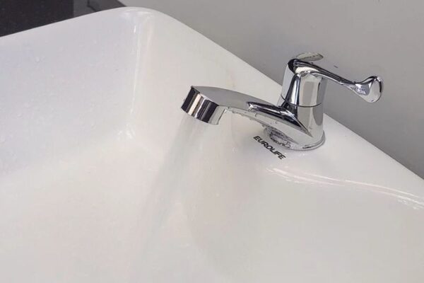 Vòi Lavabo cao, mạ Crom, tay muỗng LA03 Eurolife - Ảnh 3
