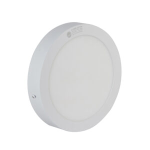 Đèn ốp tròn (D LN09L 300/24W=>LN09L 300/30W) Ο viền trắng 6500k Rạng đông