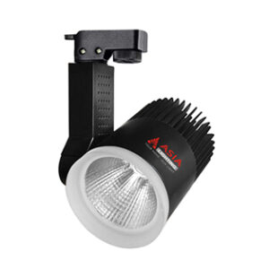 Đèn LED Rọi Ray Asia Vỏ Đen 20W Đổi Màu RĐ20-03