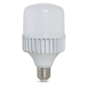 Bóng Led trụ 20w Rạng đông TR80NĐ2/20W.H
