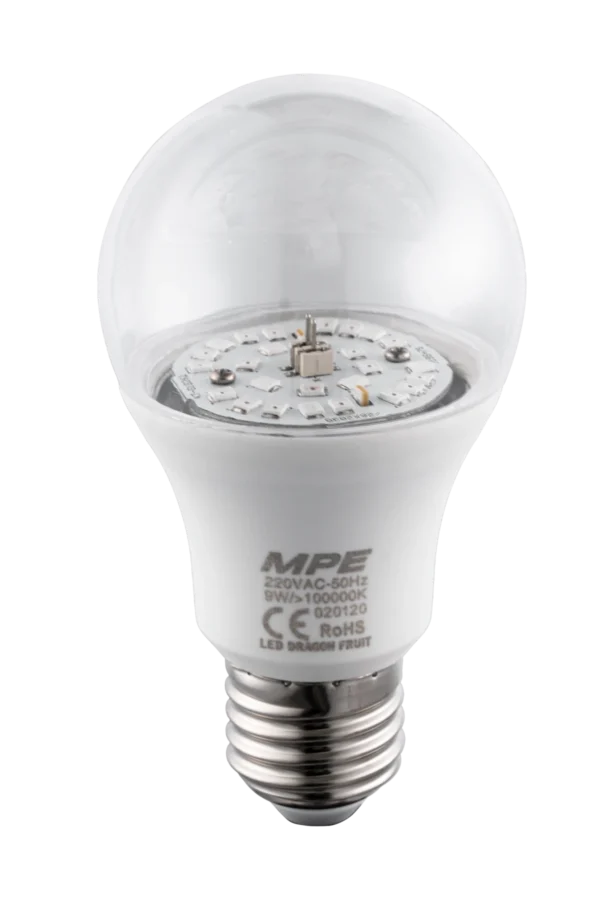 LED Bulb thanh long LBF-9
